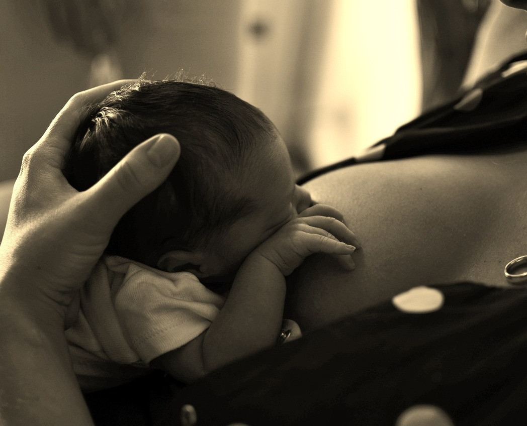 Settimana mondiale per l’allattamento 2026: la Asl di Viterbo e l’ordine delle Ostetriche insieme per sostenere mamme e famiglie