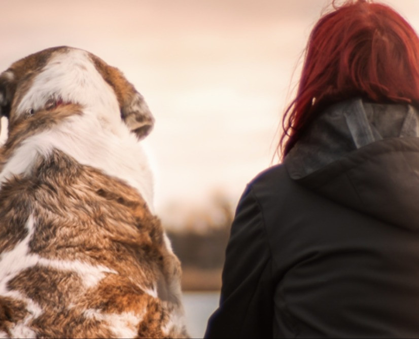 Il 27 e il 28 febbraio un percorso formativo per i proprietari di cani, con il conseguimento del patentino. Tutte le info