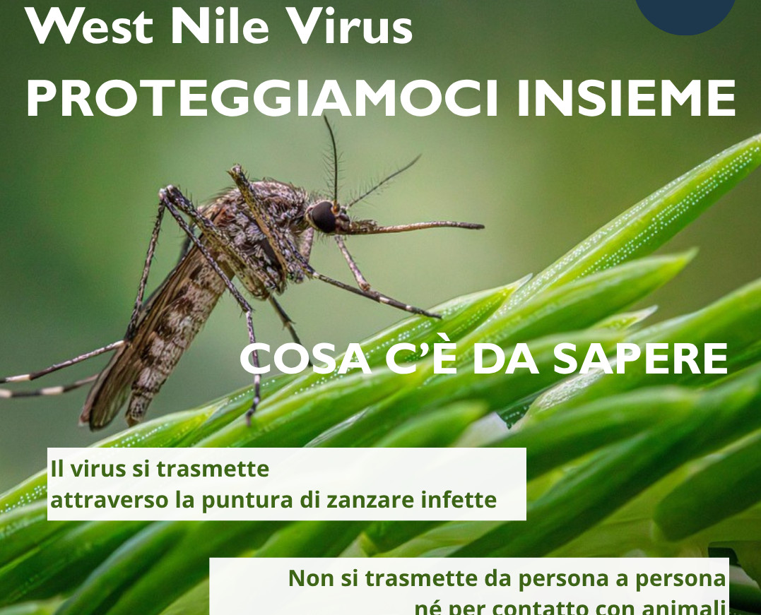 Virus West Nile, la Asl di Viterbo rilancia la campagna "Proteggiamoci insieme"