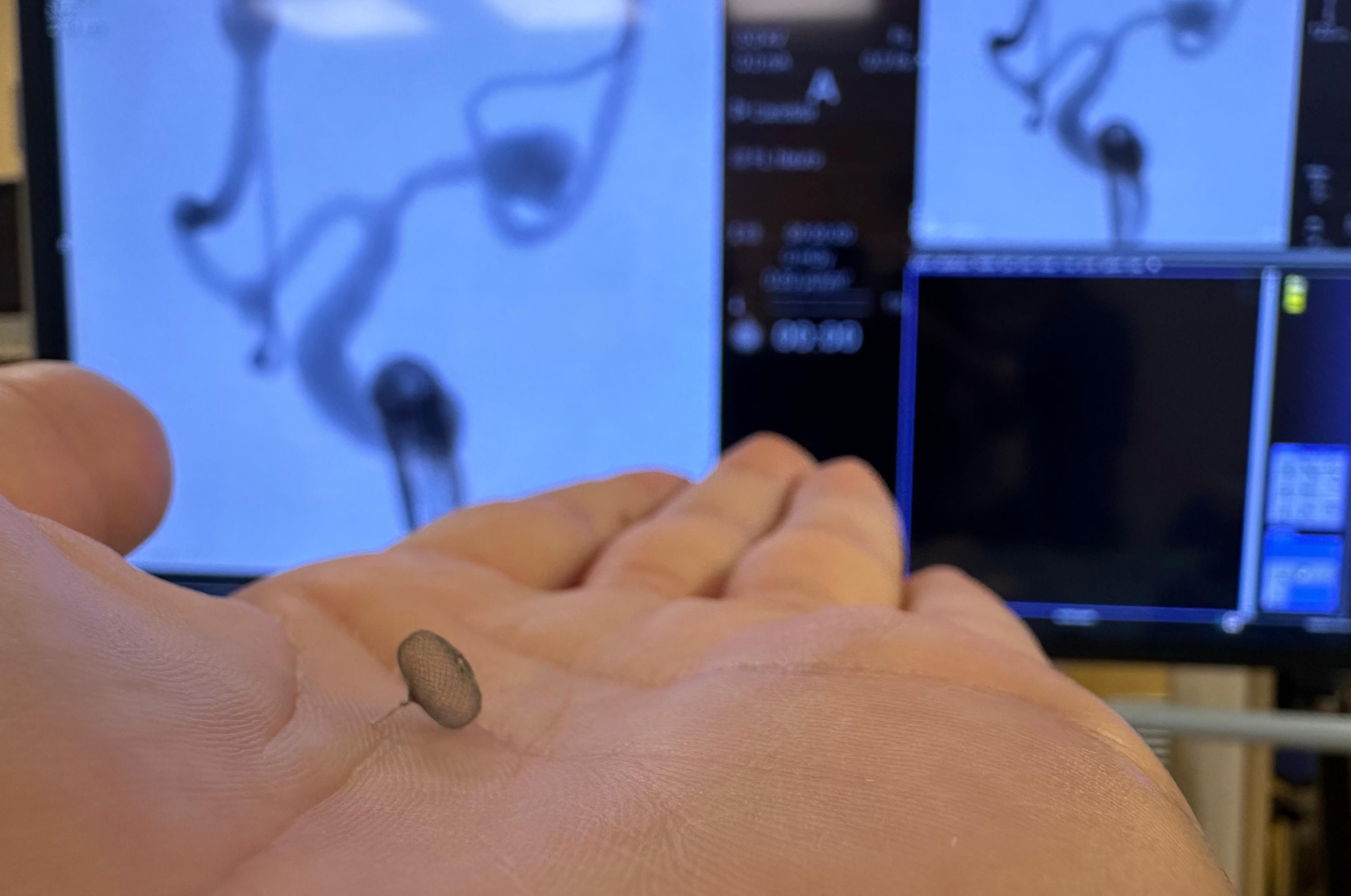 Immagine in evidenza