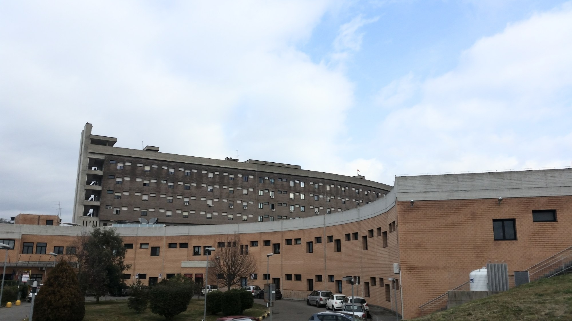 Immagine in evidenza