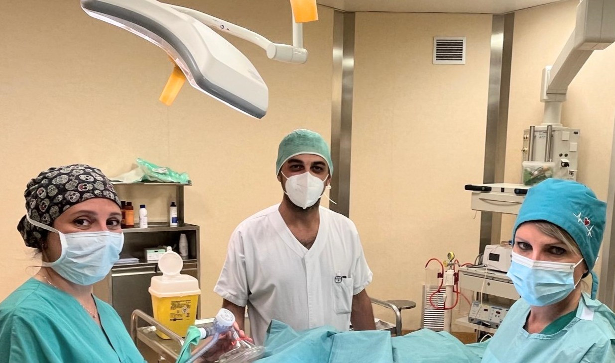 Immagine in evidenza