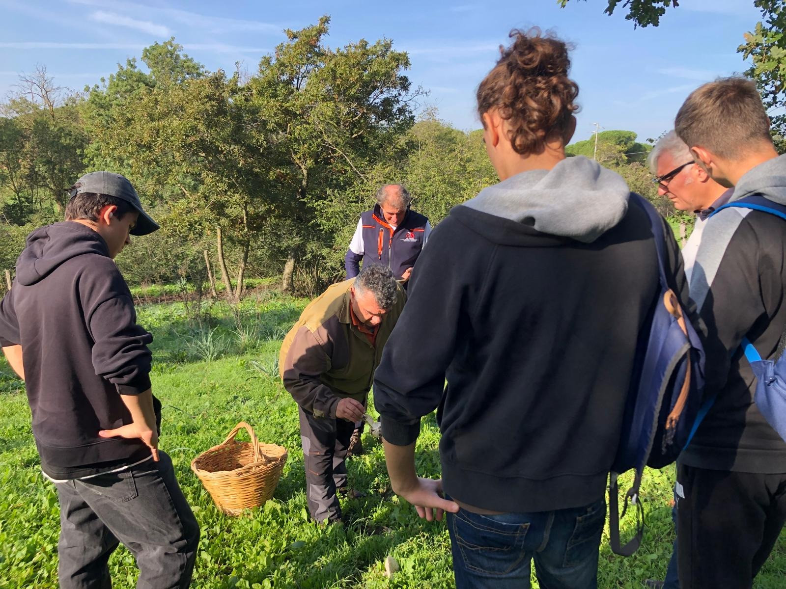 Immagine in evidenza