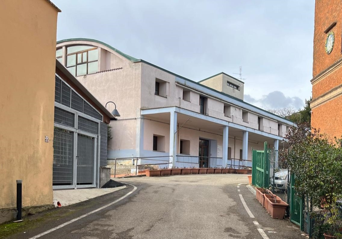 Immagine in evidenza