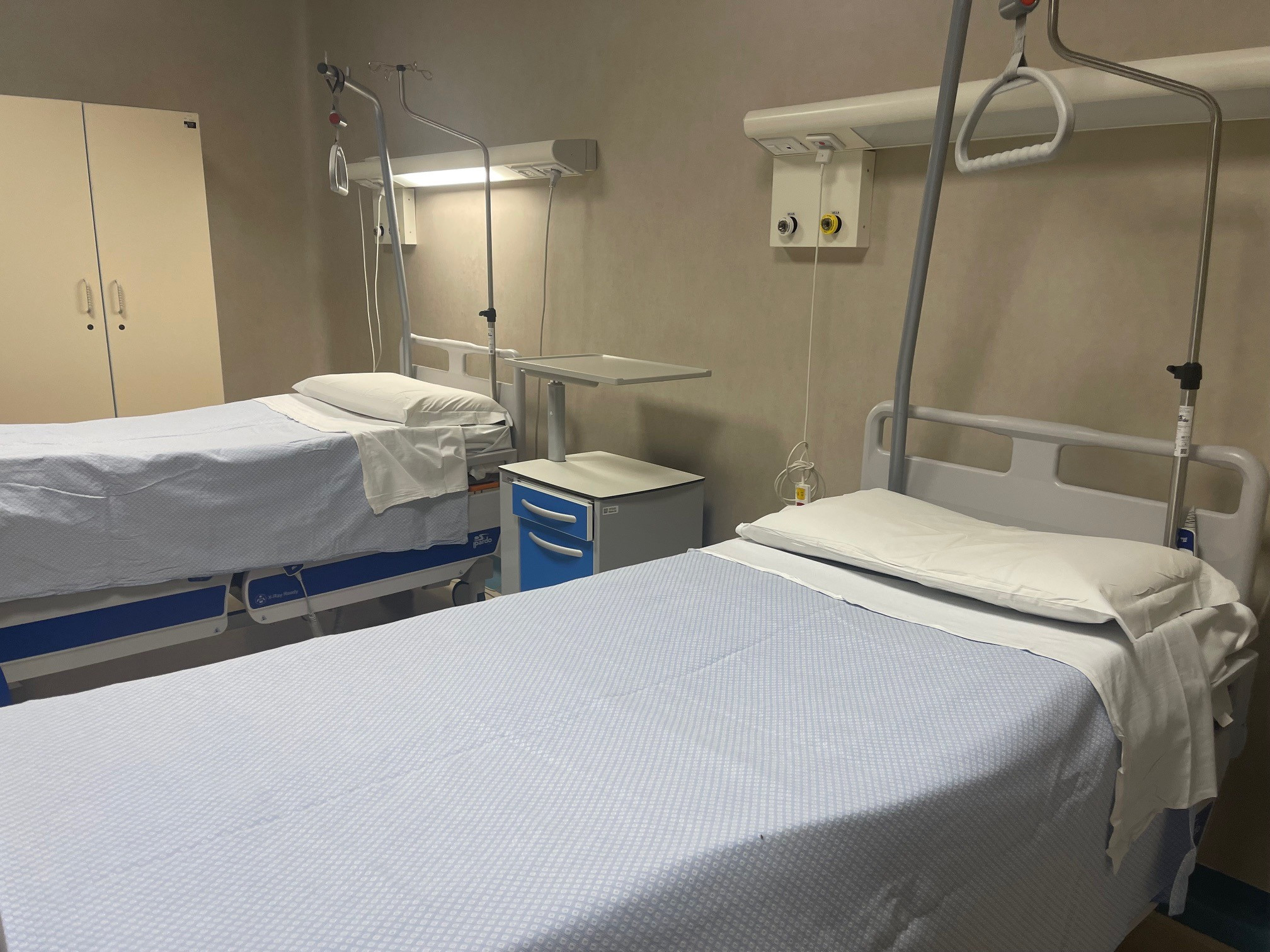 Immagine in evidenza