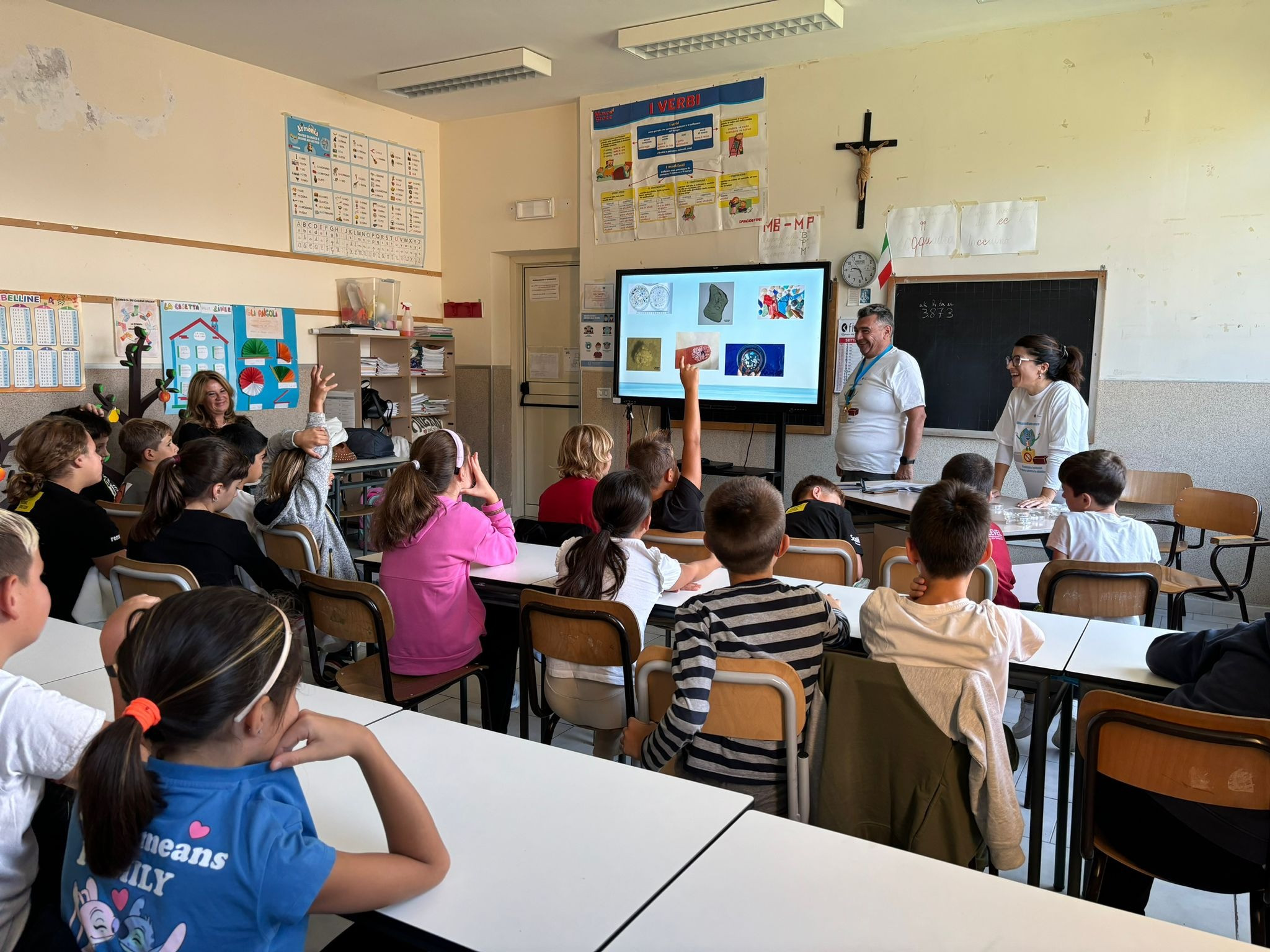 Immagine in evidenza