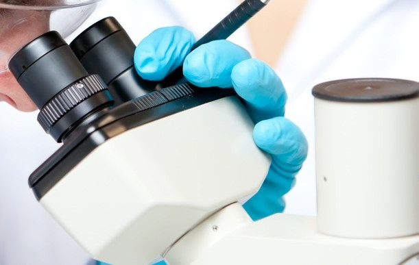 Immagine in evidenza