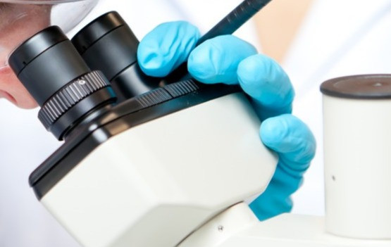 Immagine in evidenza