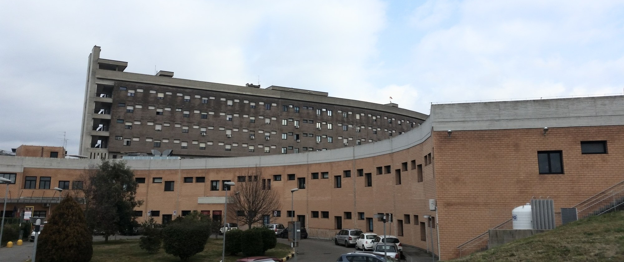 Immagine in evidenza