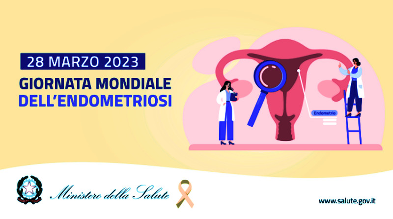 Immagine in evidenza