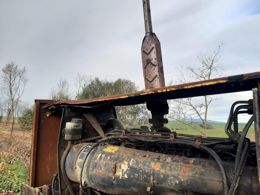 Immagine in evidenza