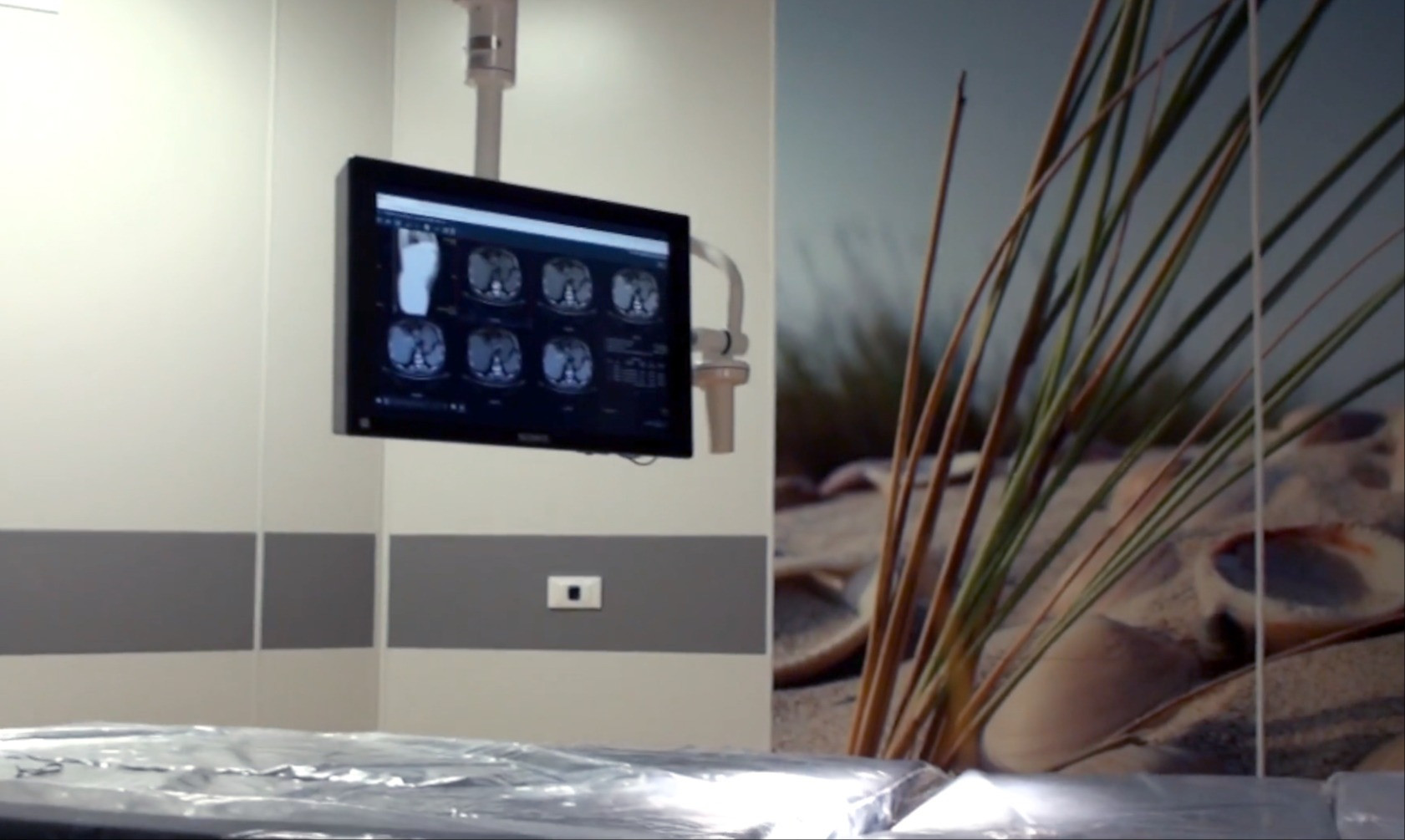 Immagine in evidenza