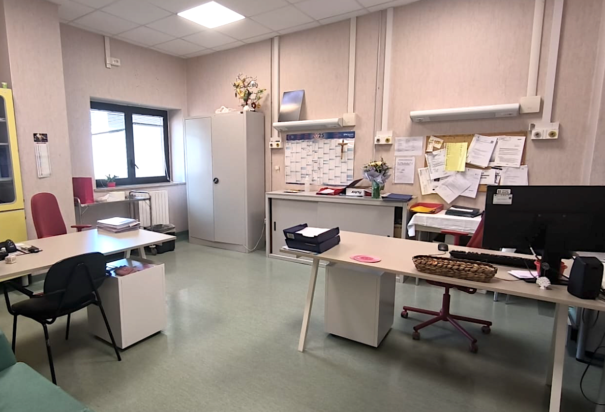 Immagine in evidenza