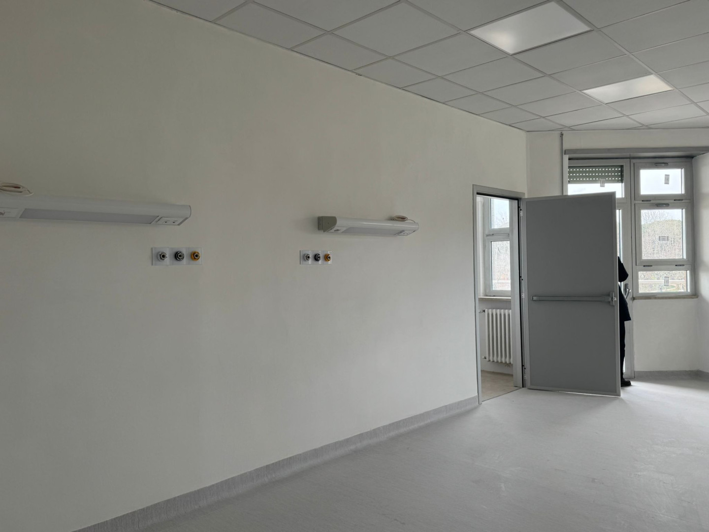 Immagine in evidenza